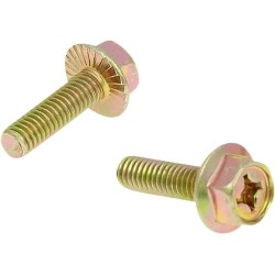 Exhaust Screws