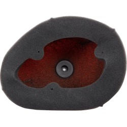 Filtre à air Backfire de remplacement