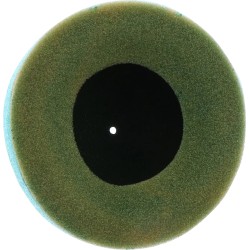 Factory Pre-Oiled Air Filter