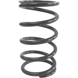 Primary Clutch Spring