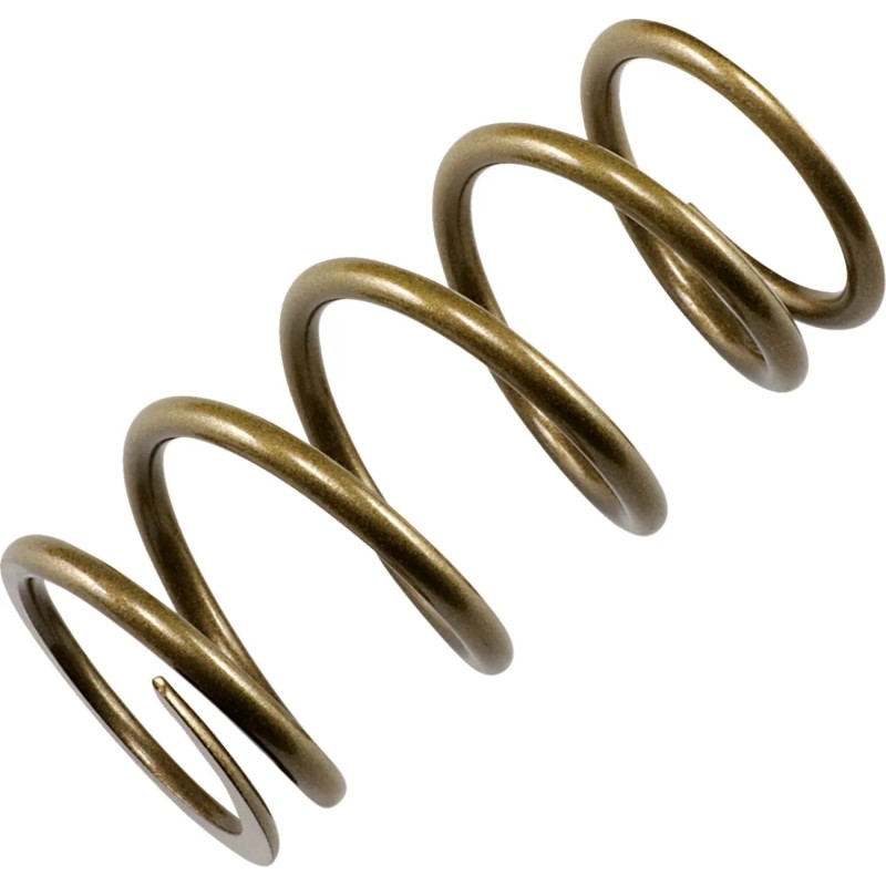 Primary Clutch Spring