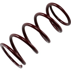 Primary Clutch Spring