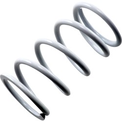 Primary Clutch Spring