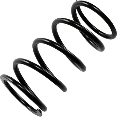 Primary Clutch Spring