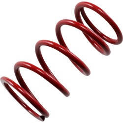 Primary Clutch Spring