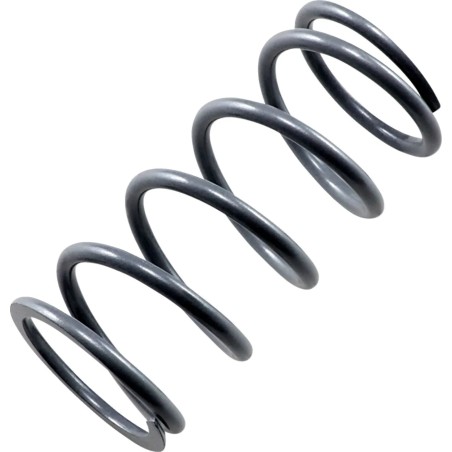 Primary Clutch Spring