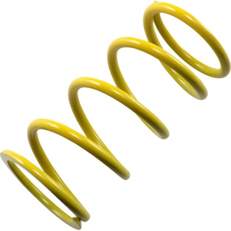 Primary Clutch Spring