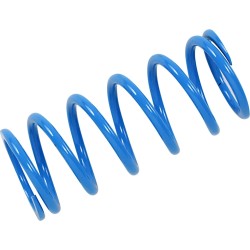 Primary Clutch Spring