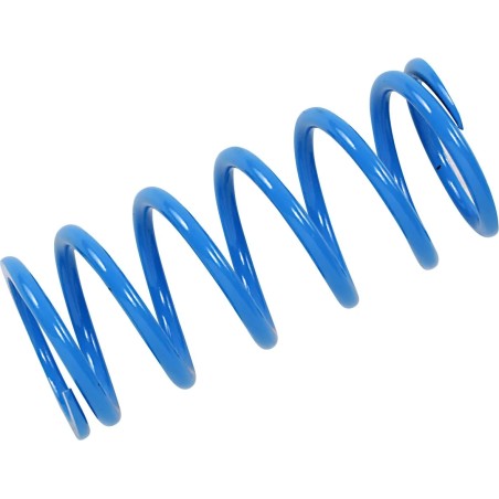 Primary Clutch Spring