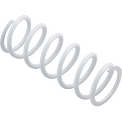 Primary Clutch Spring