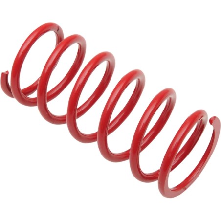 Primary Clutch Spring