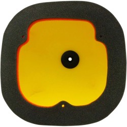 Dual Layer Air Filter