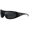 Rider Sunglasses