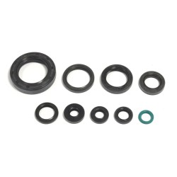Engine Oil Seal