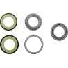 Steering Stem Bearing Kit