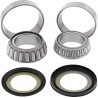 Steering Stem Bearing Kit