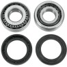 Swingarm Bearing Kit