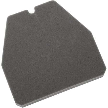 Filtre à air de rechange