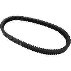G-Force  C12 Drive Belt