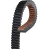 G-Force  C12 Drive Belt