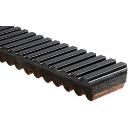 G-Force  C12 Drive Belt