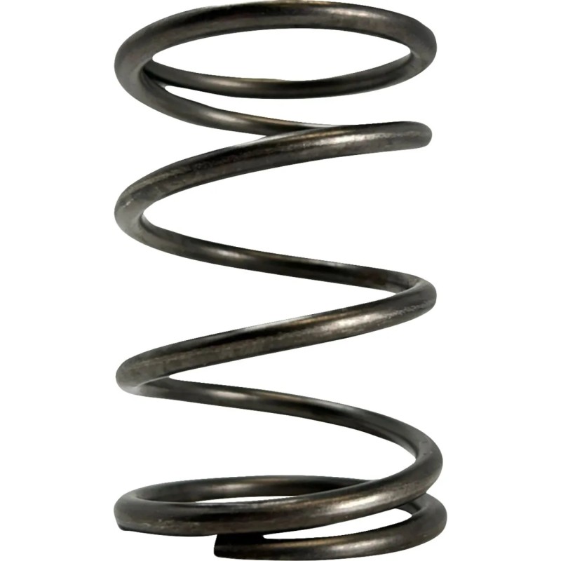 Polaris Primary Clutch Spring