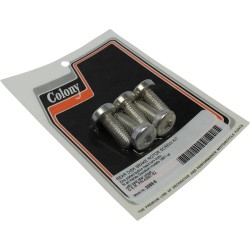 Rear Disc Brake Rotor Bolt