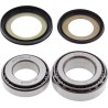 Steering Stem Bearing Kit