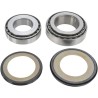Steering Stem Bearing Kit