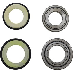 Steering Stem Bearing Kit