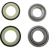 Steering Stem Bearing Kit