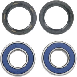 Kit de Roulements de Roue