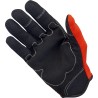Moto Gloves