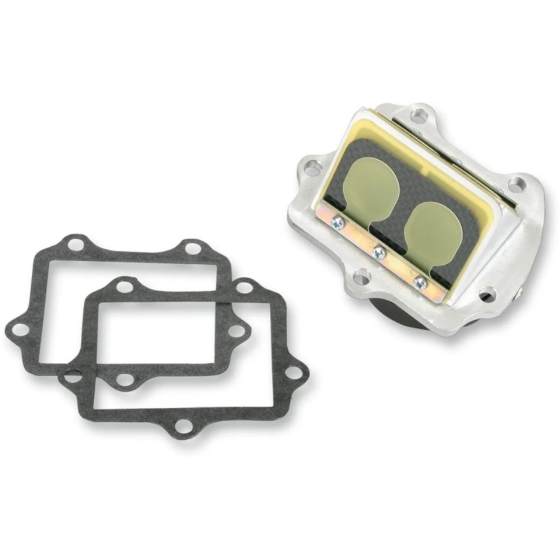 Ensemble cage à clapets Rad Valve