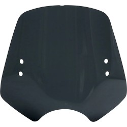 The Shooter Windshield