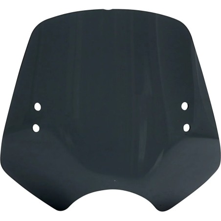 The Shooter Windshield