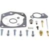 Carburetor Repair Kit