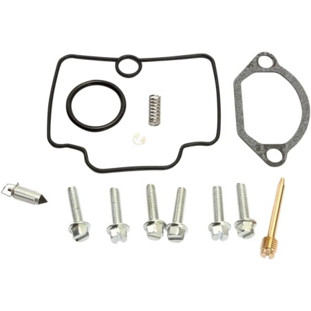 Carburetor Repair Kit