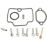 Carburetor Repair Kit