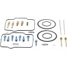 Carburetor Repair Kit
