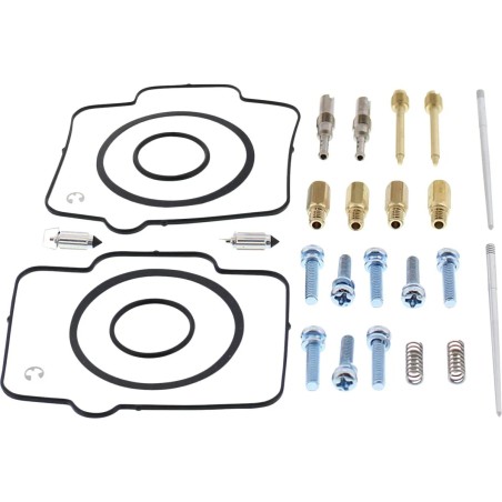 Carburetor Repair Kit