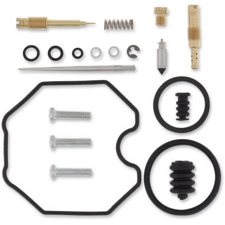 Carburetor Repair Kit