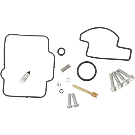 Carburetor Repair Kit
