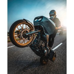 Two-Piece Brake Rotor