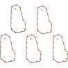 Primary Gasket