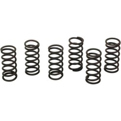 Clutch Spring Kit
