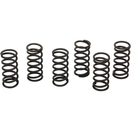 Clutch Spring Kit