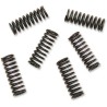 Clutch Spring Kit