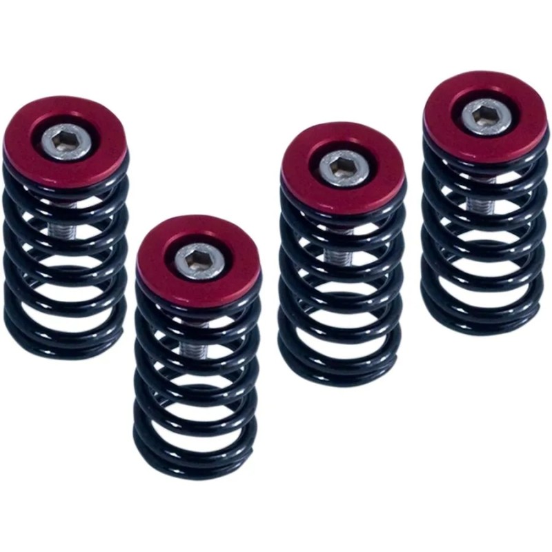Clutch Spring Kit