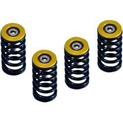 Clutch Spring Kit